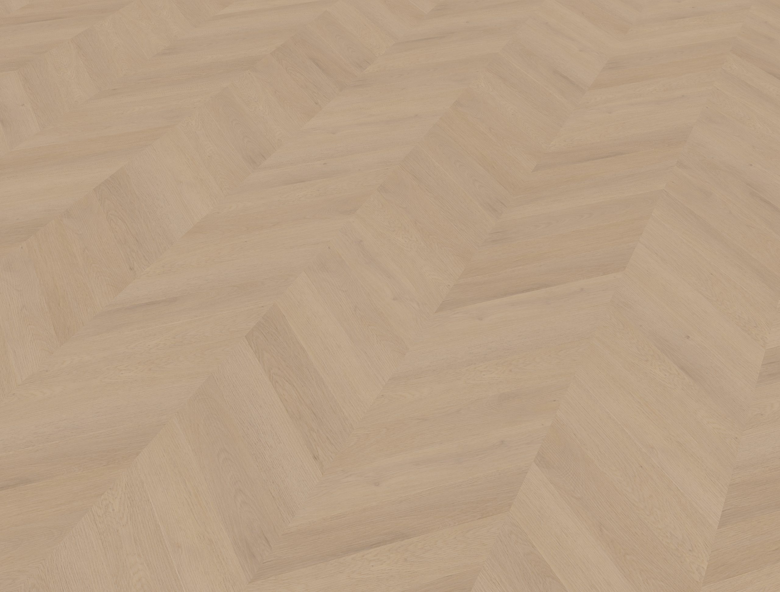 Belakos Palazzo 74 Dryback Hongaarse punt | Weense punt - Afbeelding 2