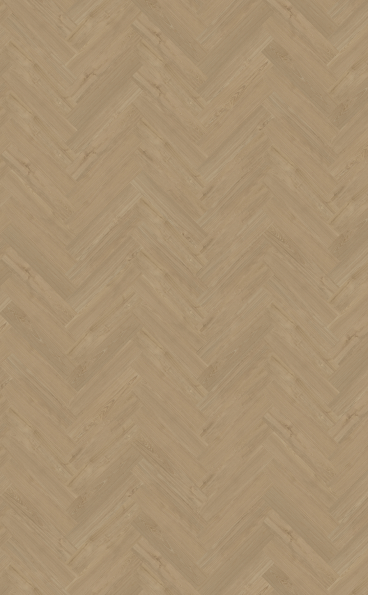 Belakos Portico 54 Dryback XL Visgraat - Afbeelding 2