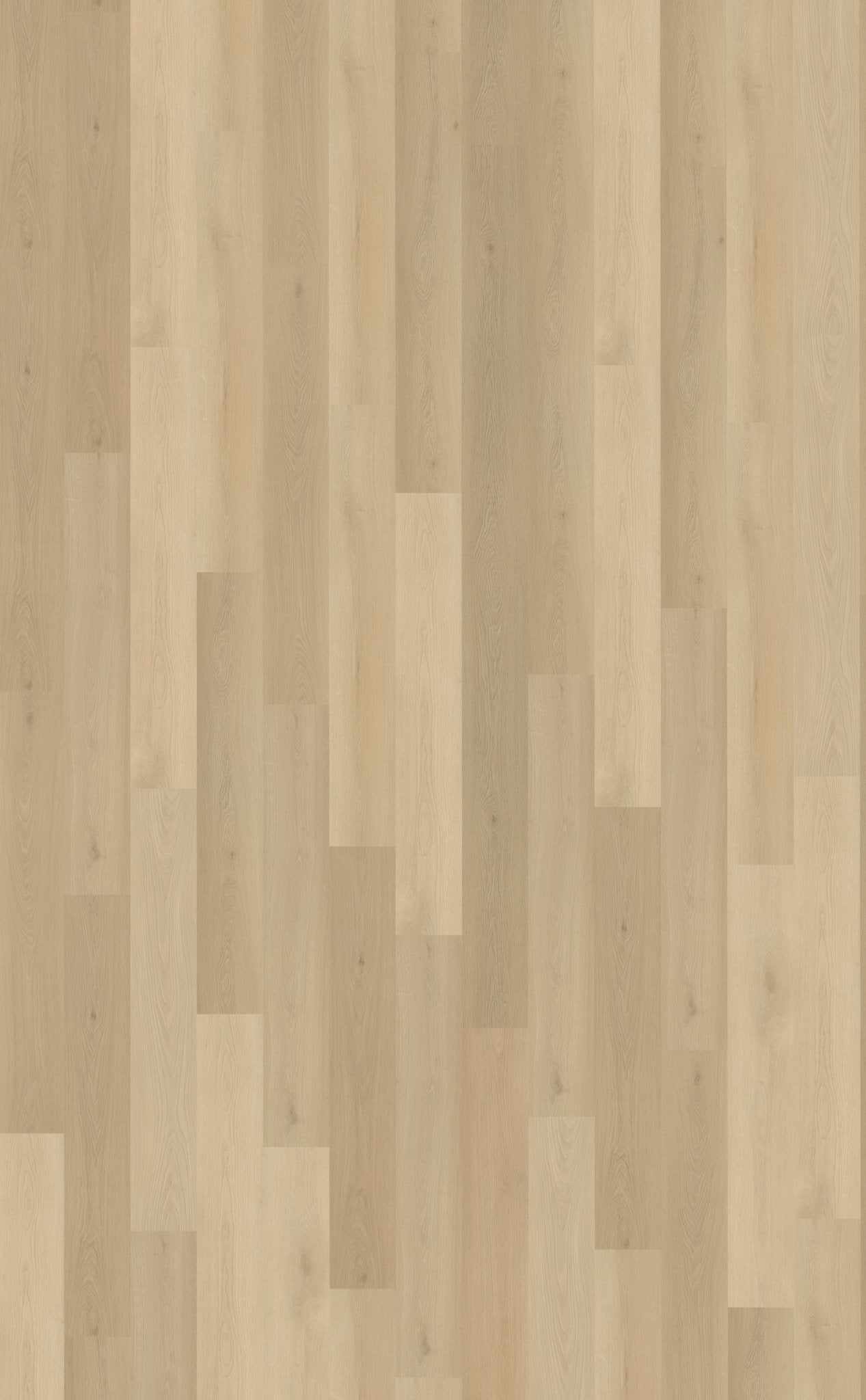 Belakos Borgo 310 Dryback PVC - Afbeelding 3