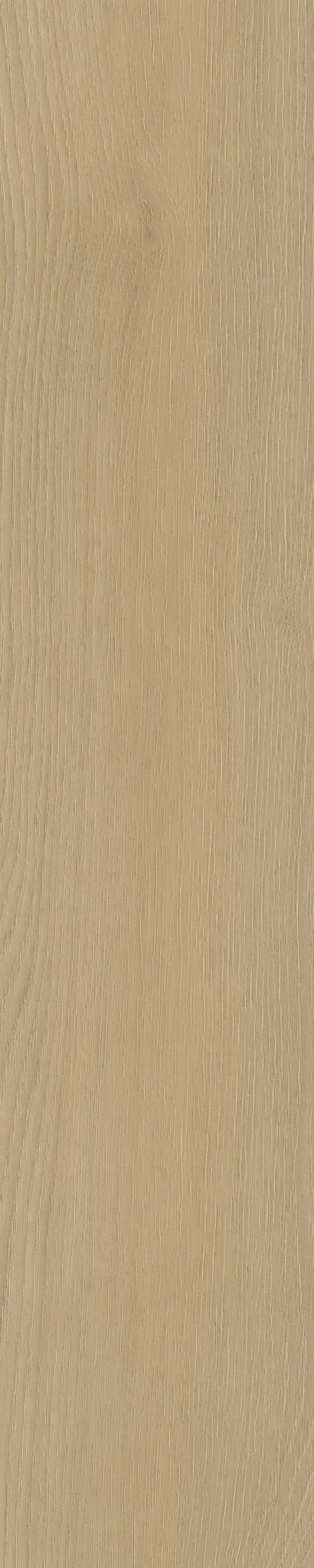 Belakos Borgo Visgraat XL 31 Dryback PVC - Afbeelding 4