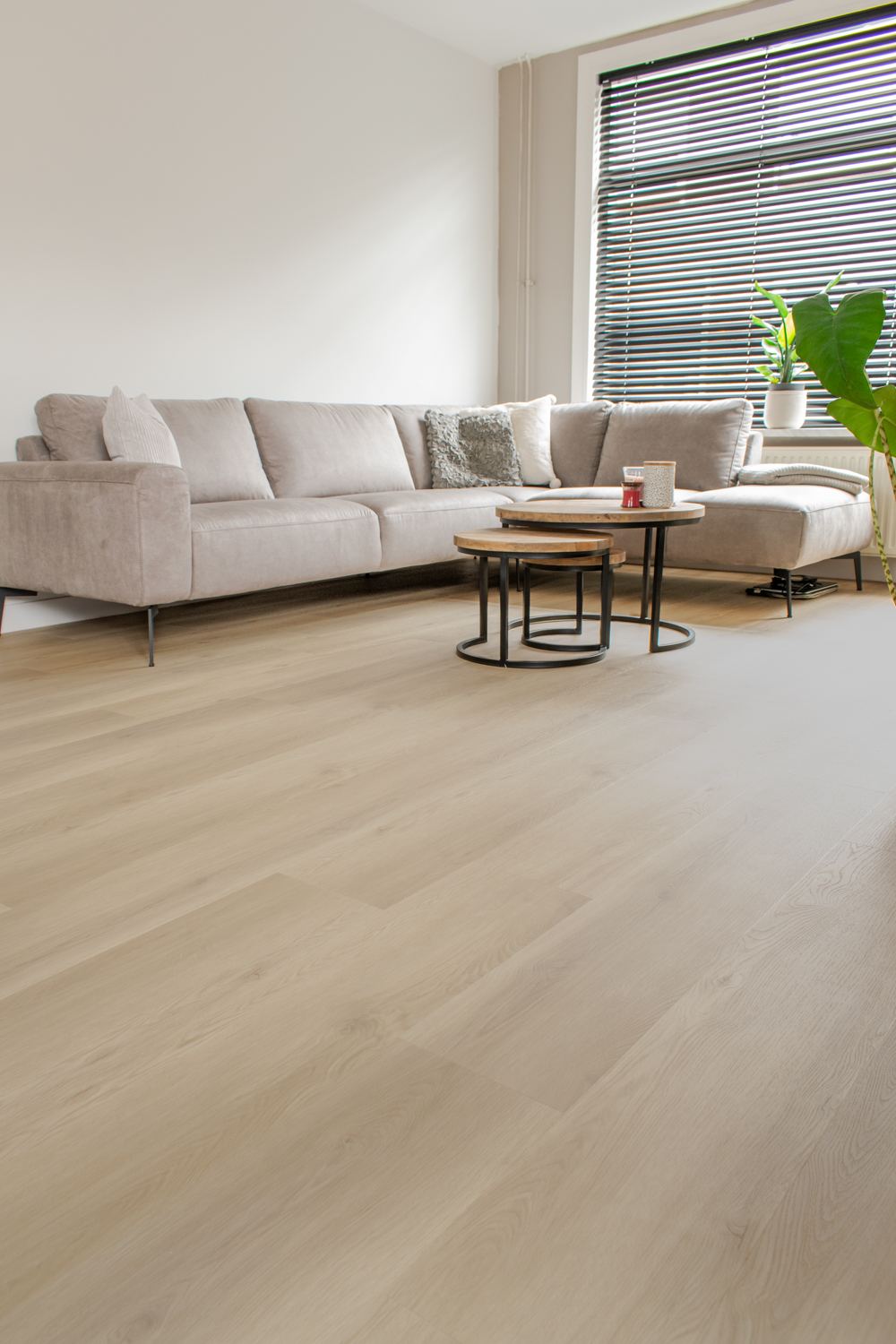 Gelasta Artline Register 2300 Beige - Afbeelding 2