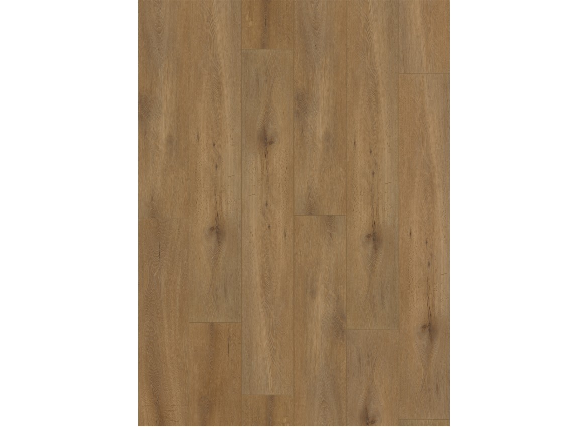 Gelasta Callisto 5100 (rigid click) Natural Oak Dark