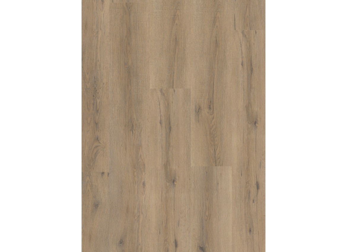 Gelasta City 4600 (dryback) Smoked Oak Light