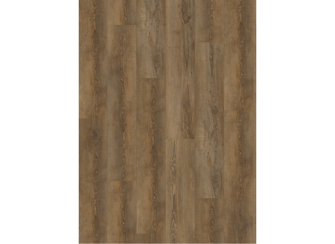 Gelasta City 4604 (dryback) Olympia Pine Natural