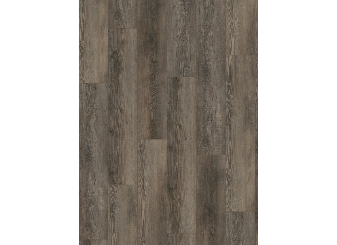 Gelasta City 4605 (dryback) Olympia Pine Brown