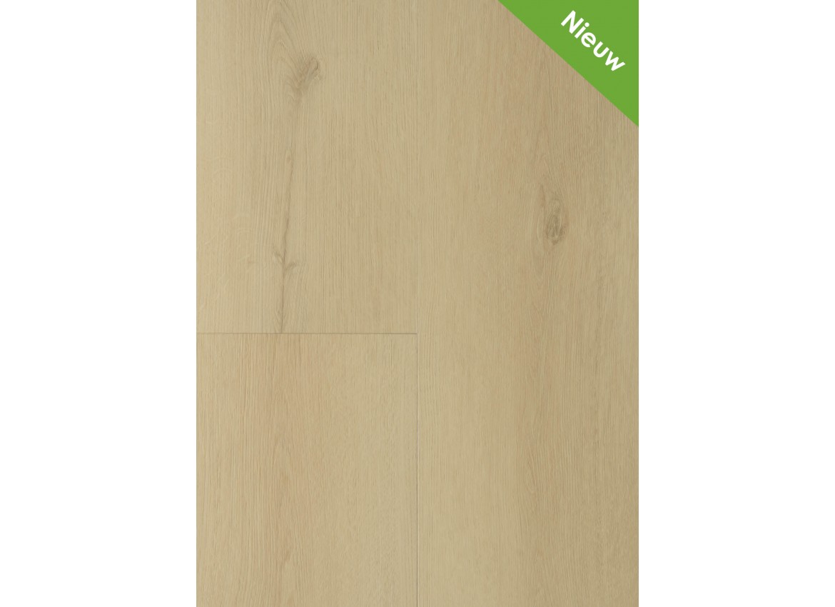 Gelasta Country 3001 (dryback) Beige