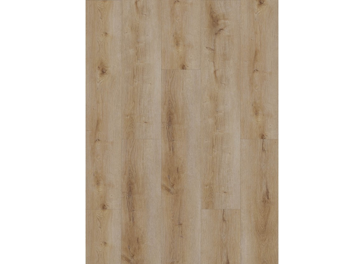 Gelasta Dynamic 2501 (dryback) Natural