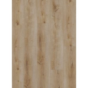 Gelasta Dynamic 2501 (dryback) Natural smoked