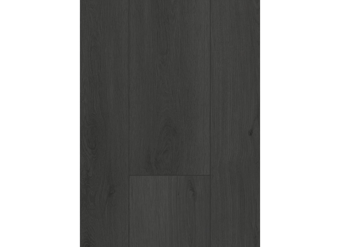 Gelasta Firmfit 6701 (dryback) Summerfield Charcoal