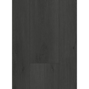 Gelasta Firmfit 6701 Summerfield Charcoal