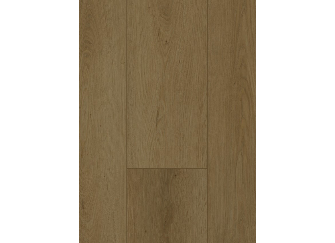 Gelasta Firmfit 6702 (dryback) Summerfield Cinnamon