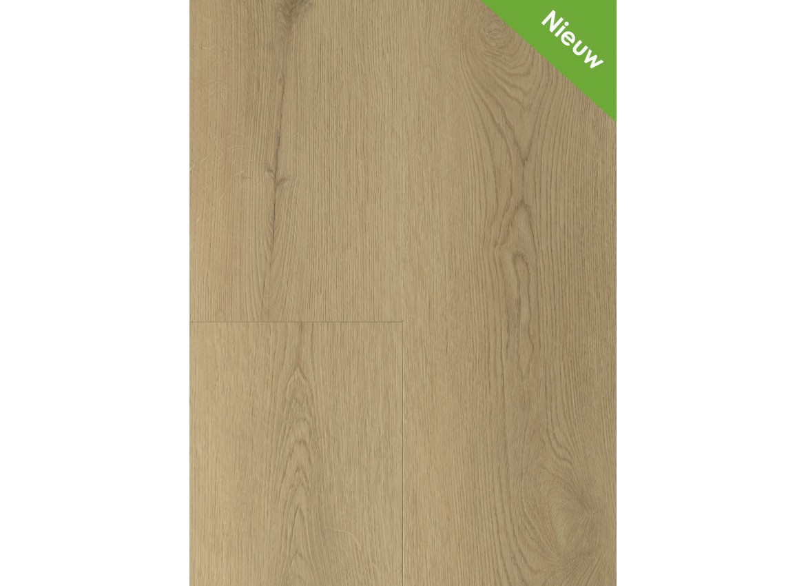 Gelasta Fusion 2003 (dryback) Natural