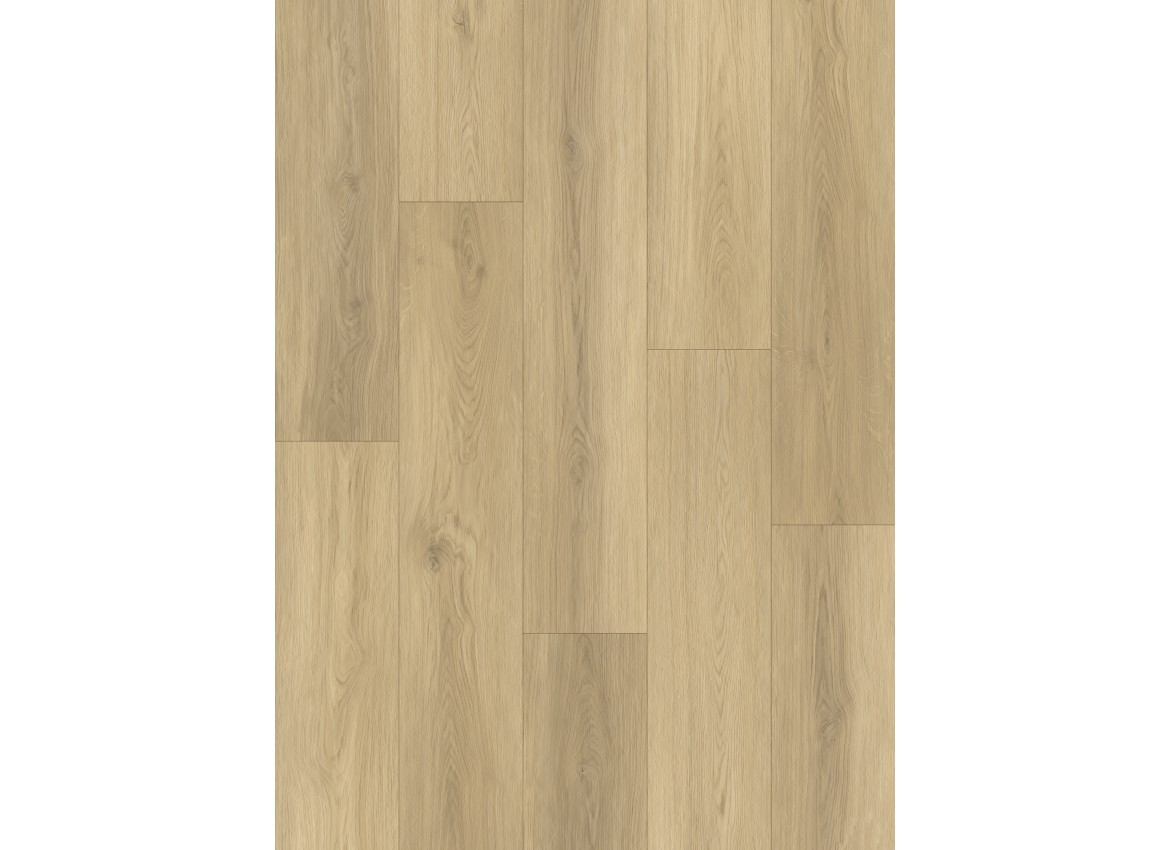 Gelasta Gelasta Artline Register Extra matt 2300 Beige Dryback