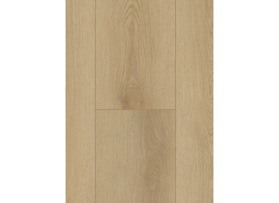 Gelasta Gelasta Firmfit Dryback 6500 Sierra Light