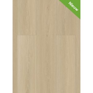 Gelasta Highland 2502 (dryback) Desert