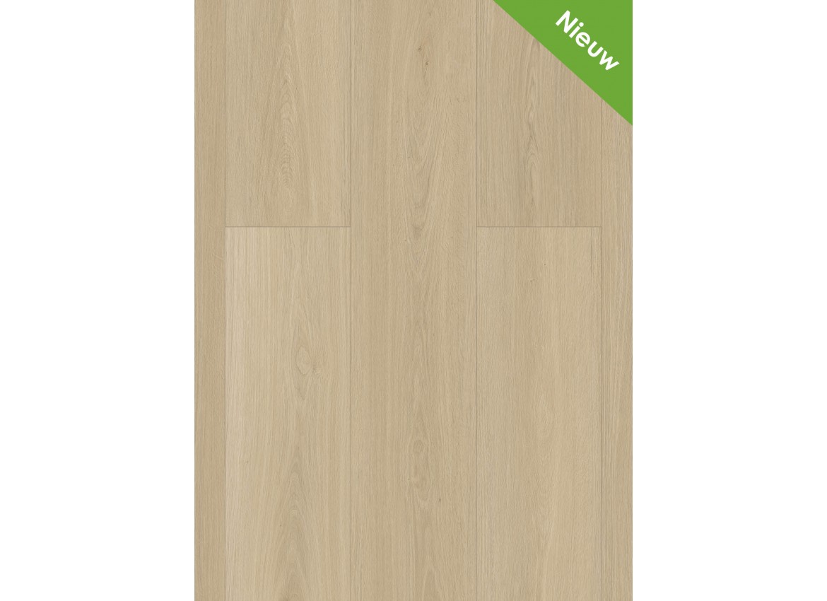 Gelasta Highland 2502 (dryback) Desert