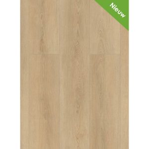 Gelasta Highland 2503 (dryback) Naturel