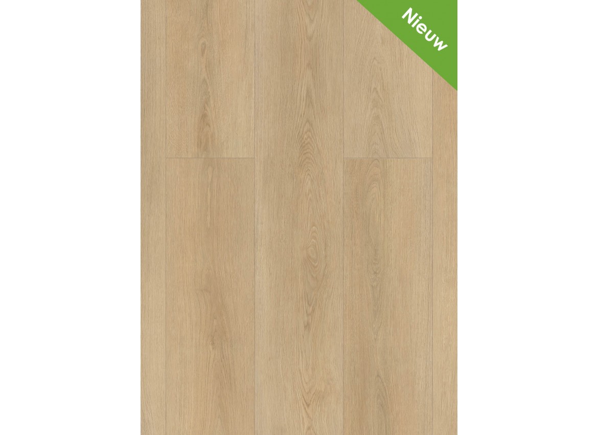 Gelasta Highland 2503 (dryback) Naturel