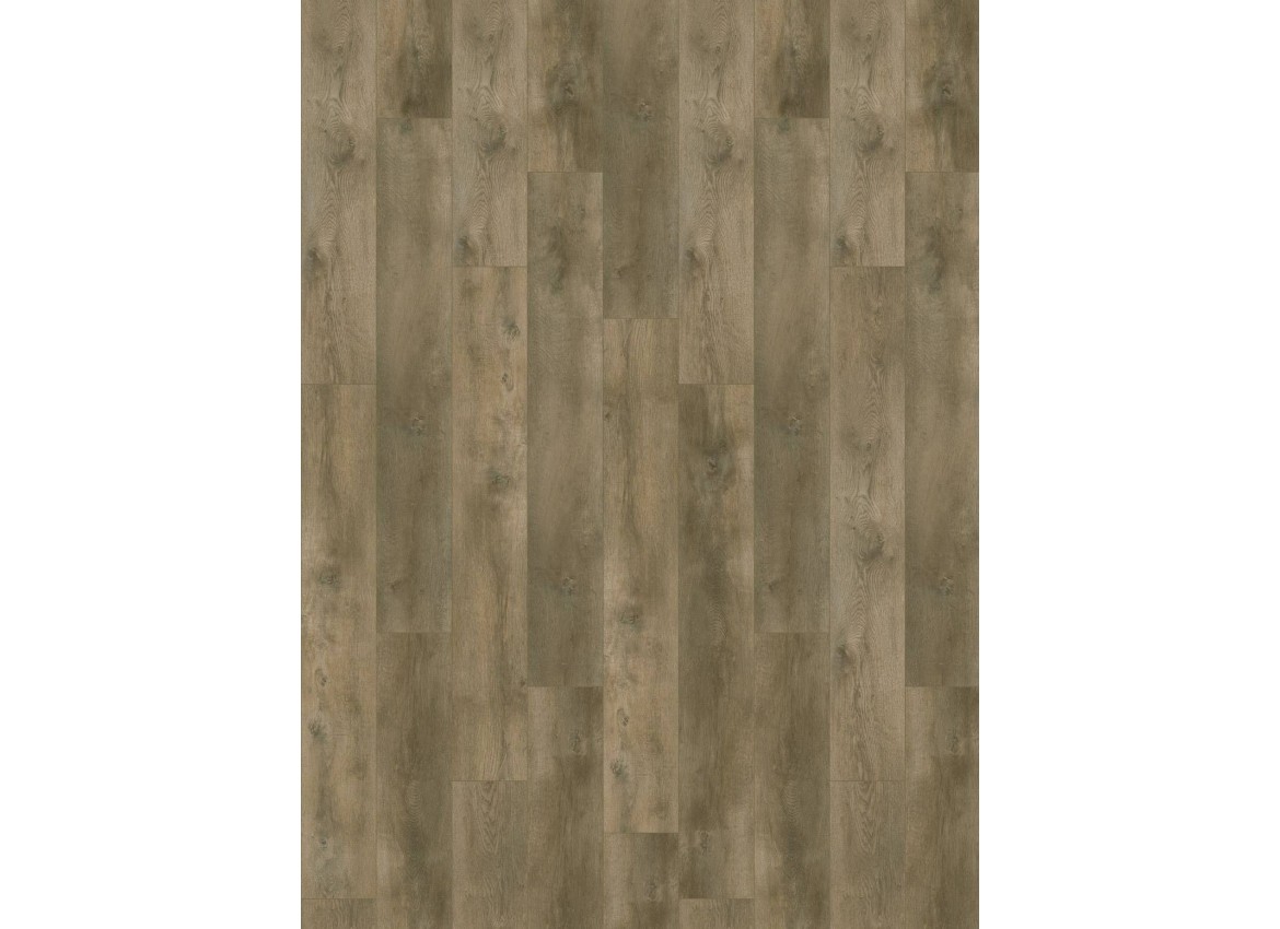 Gelasta Nevada 6001 (dryback) Natural