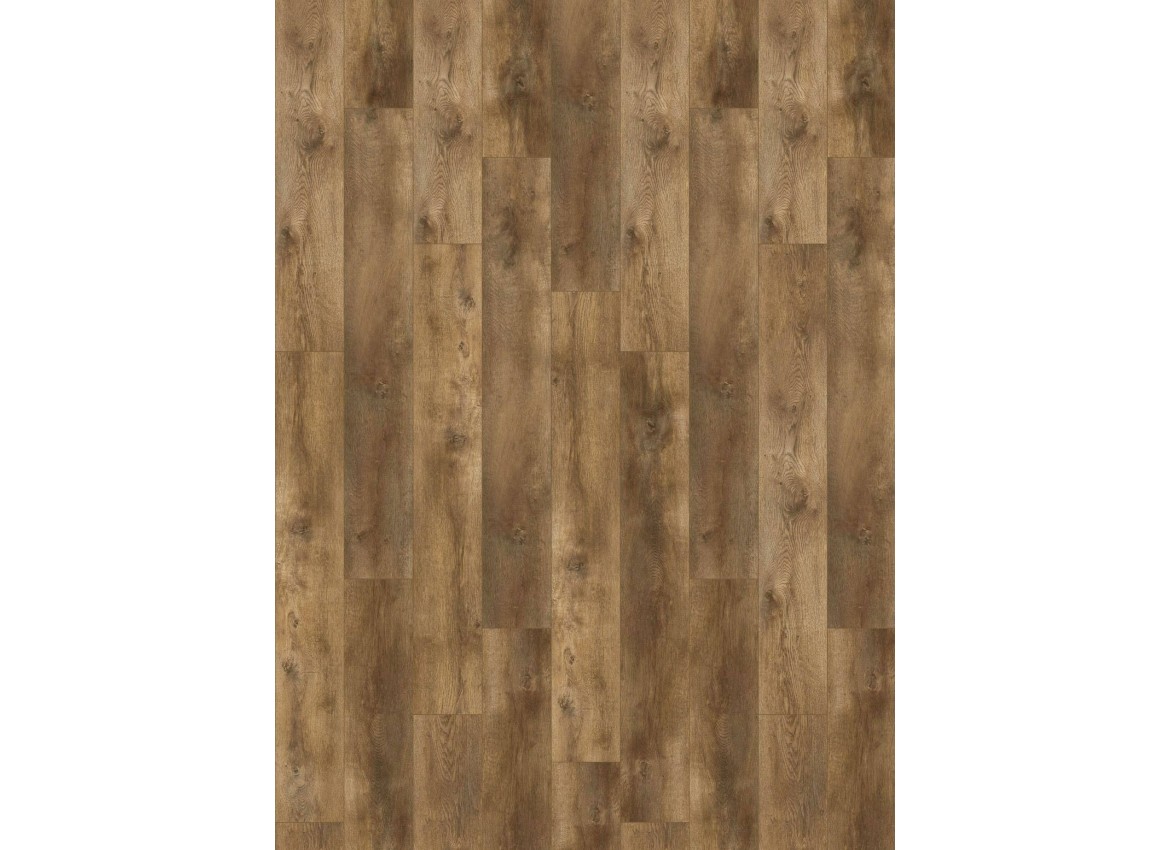 Gelasta Nevada 6002 (dryback) Smoked