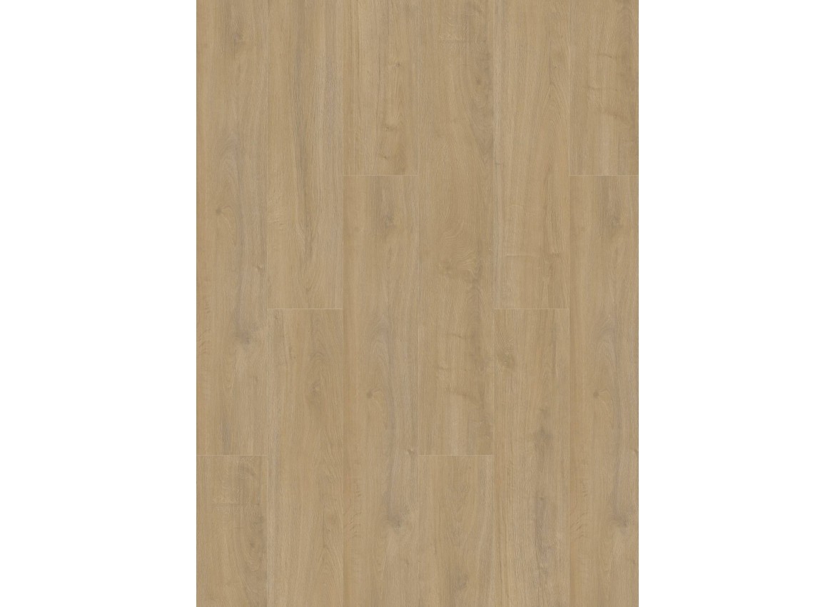 Gelasta Oakland 6100 (dryback) Lime
