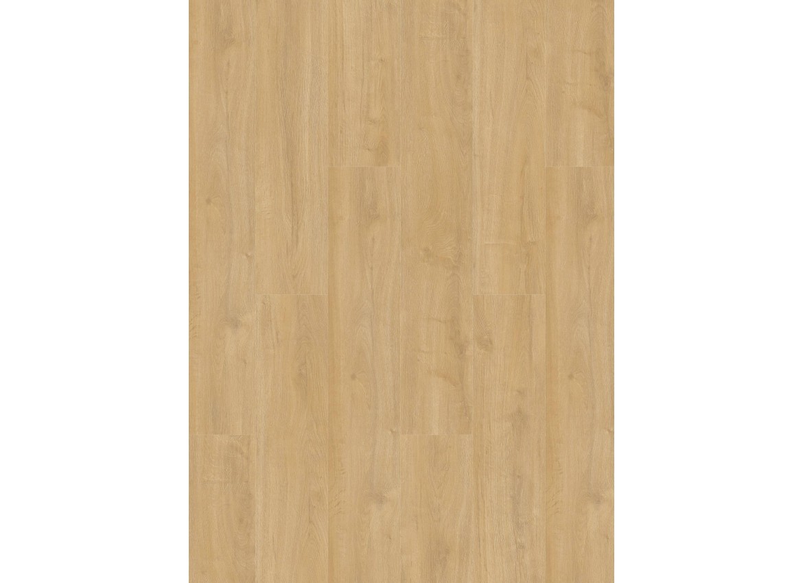 Gelasta Oakland 6102 (dryback) Desert