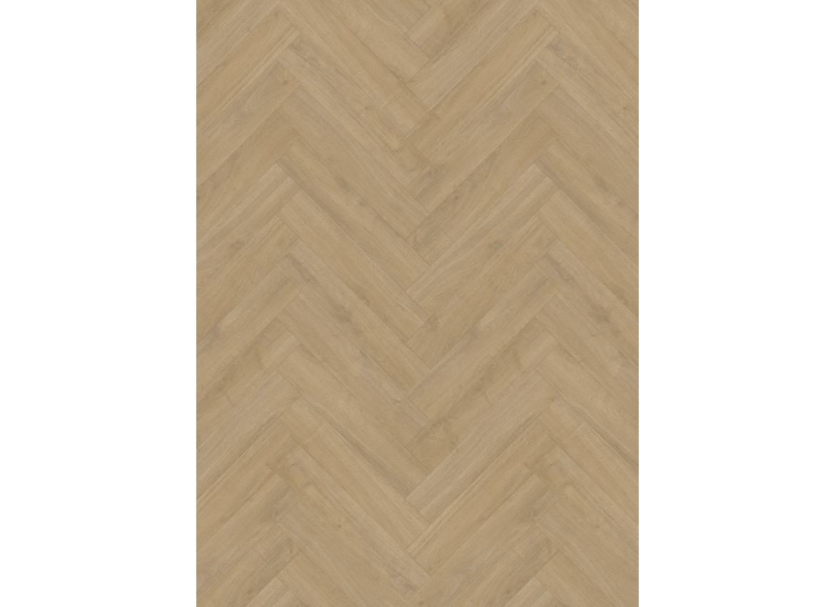 Gelasta Oakland 6200 (dryback) Natural