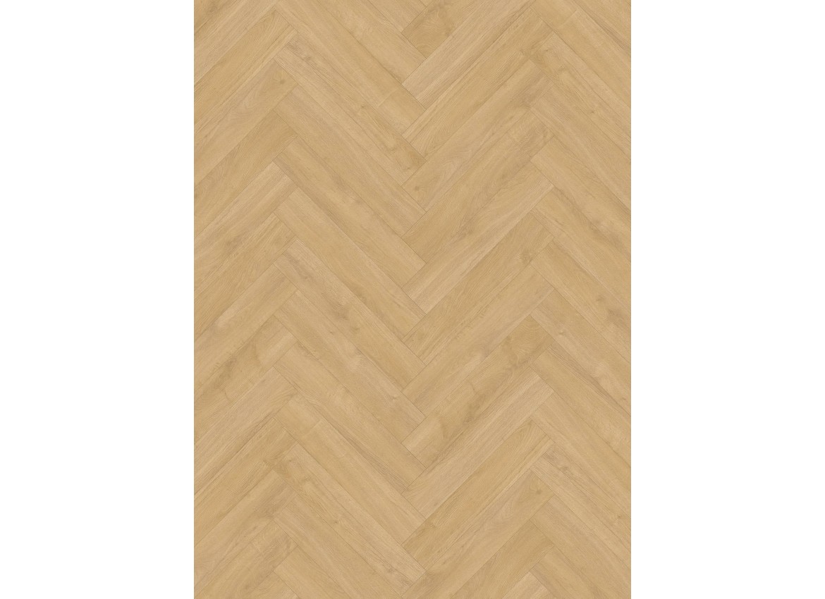 Gelasta Oakland 6202 Desert