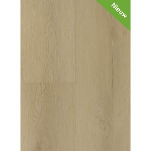 Gelasta Sierra 3002 Light