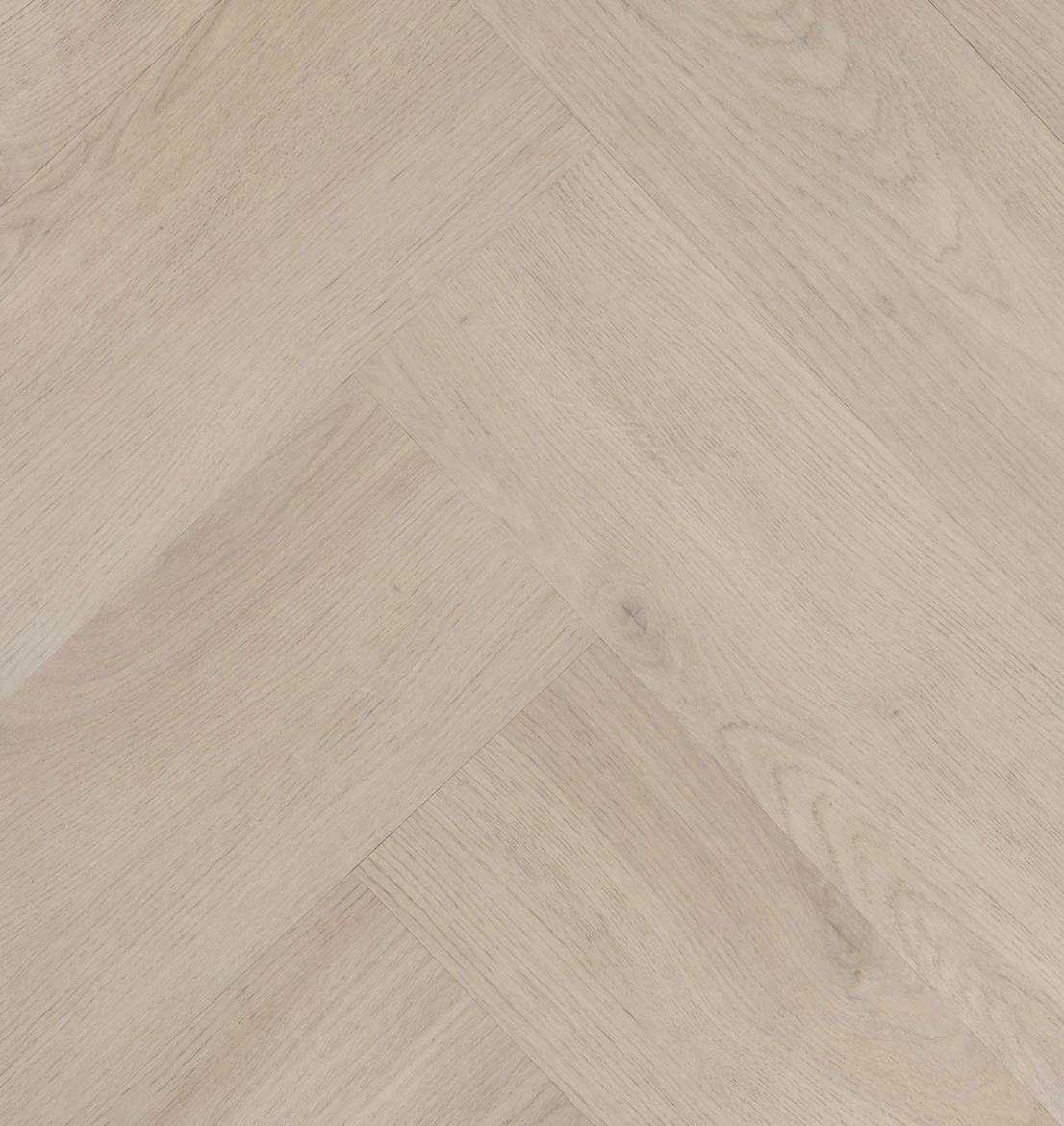 Hebeta Chablis Visgraat XL 57855