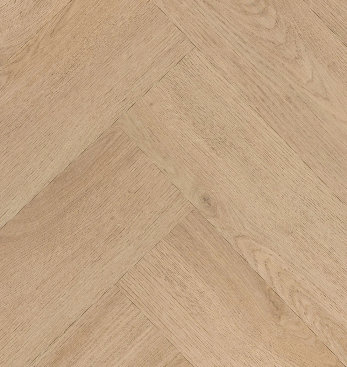 Hebeta Chablis Visgraat XL 57858