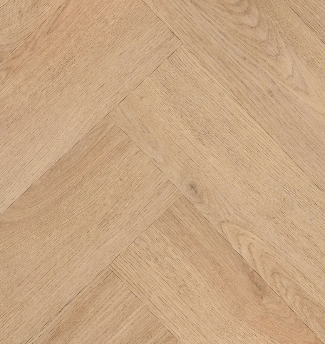 Hebeta Chablis Visgraat XL 57859