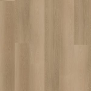 Ambassador Dryback Vermont 12