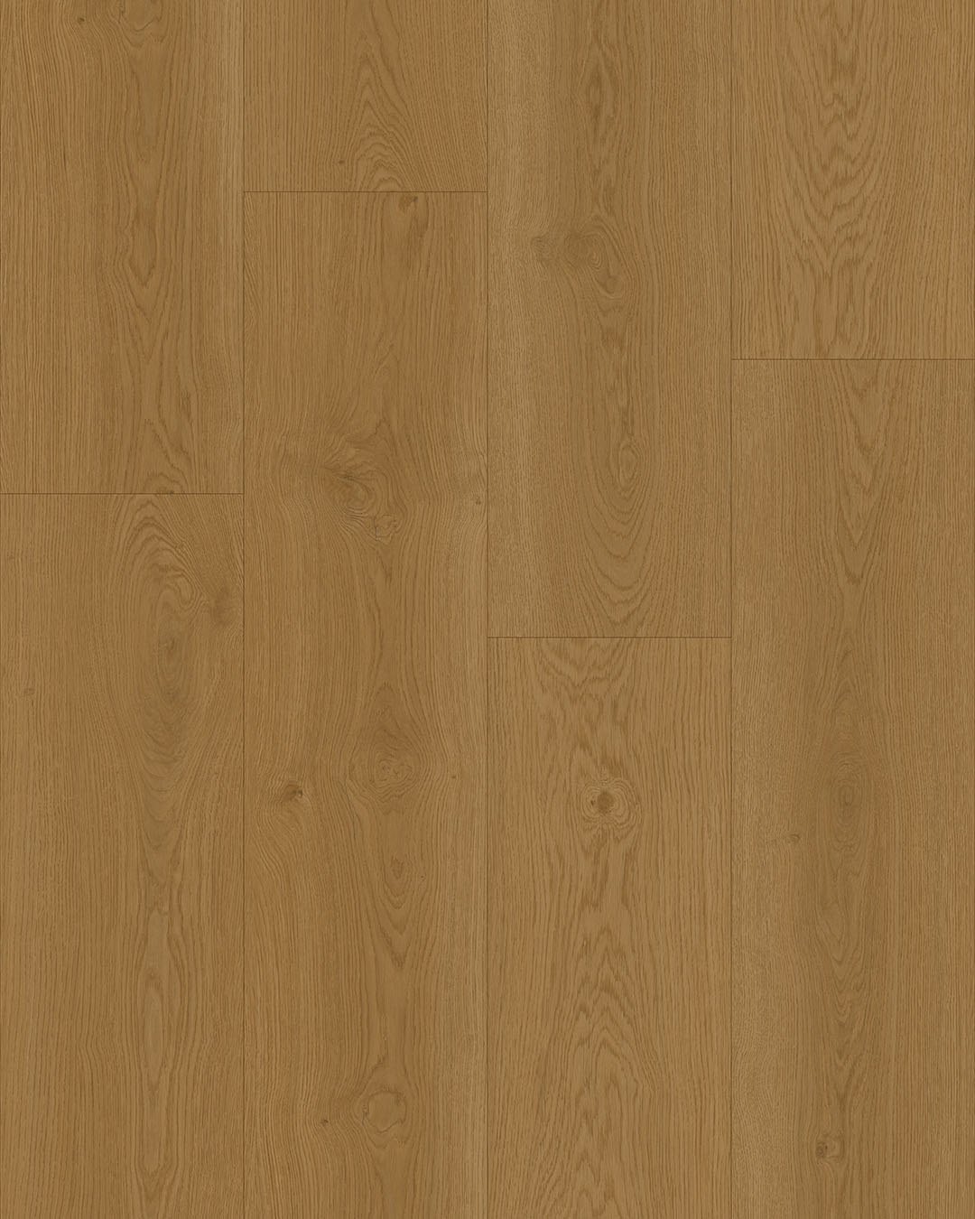 NIEUW! Hoomline Elegance Dryback Plank Lepelaar 51317