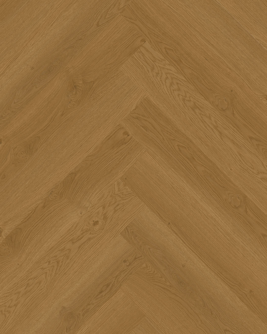 NIEUW! Hoomline Elegance Dryback Visgraat Leeuw 51317
