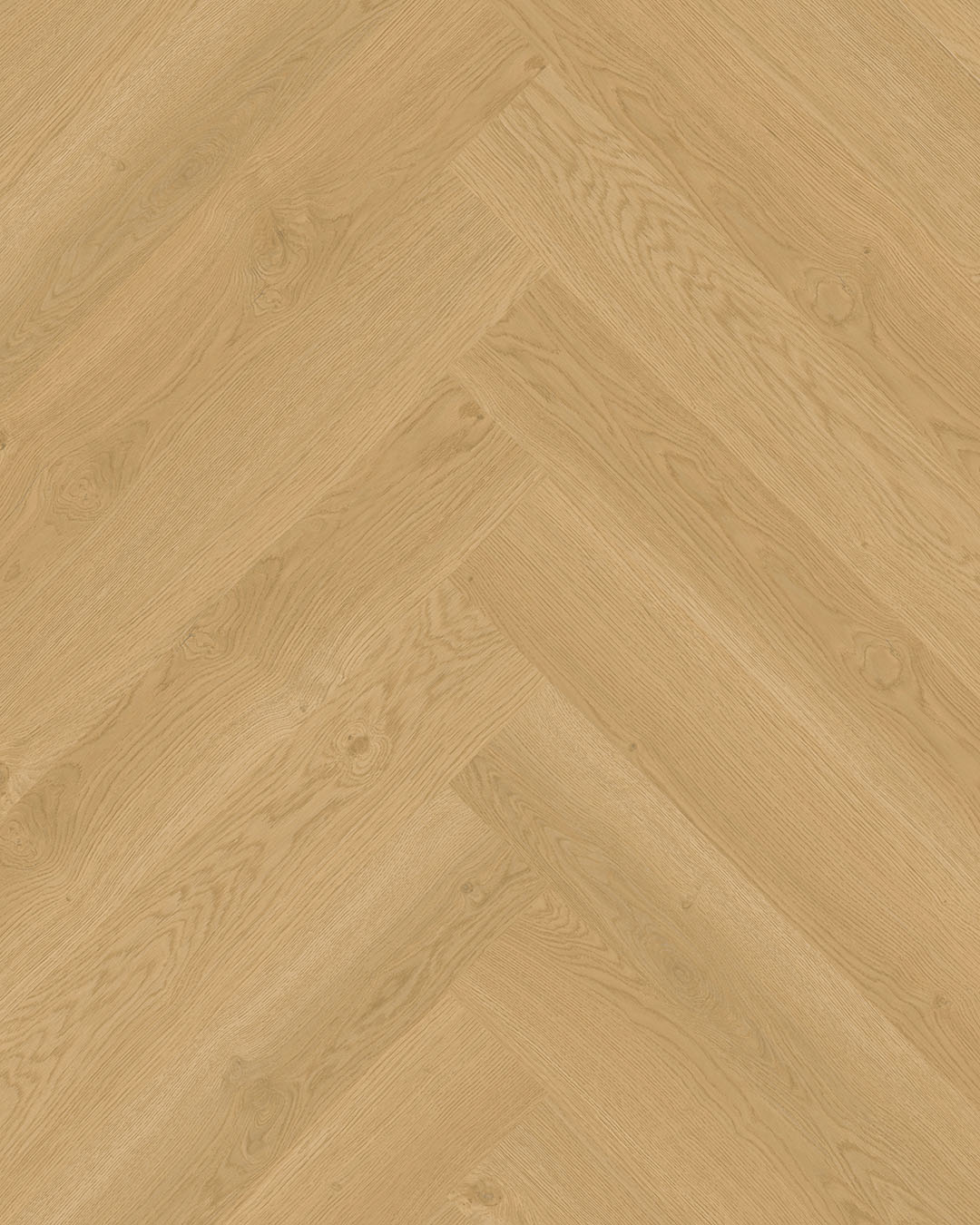 NIEUW! Hoomline Elegance Dryback Visgraat Neushoorn 51319