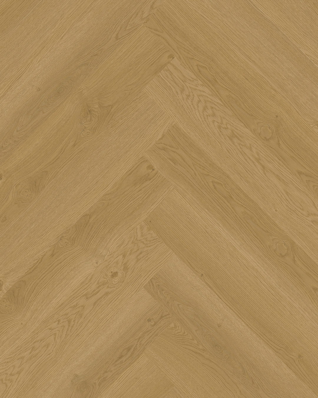 NIEUW! Hoomline Elegance Dryback Visgraat Zebra 51315