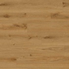 Tarkett iD Inspiration 55 Authentics Delicate Oak Toffee